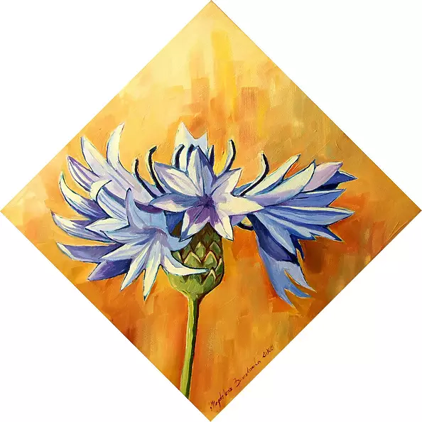 Magdalena Bronakowska - Cornflower