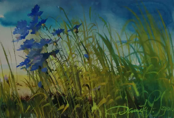 Danuta Pałka Szyszka - cornflowers II