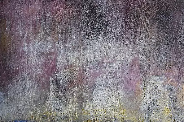 Kamila Ossowska - Cornflowers