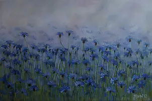 Marta Wideńska - cornflowers