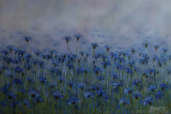 Marta Wideńska - cornflowers