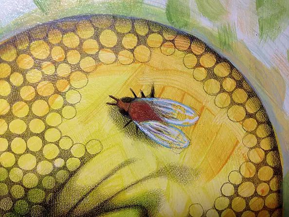 federico cortese - Chameleon