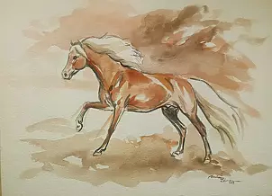   - Chesnut Haflinger