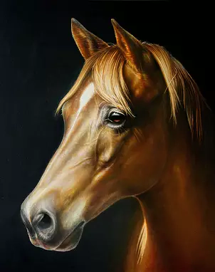 Marzena Zuk - Chestnut