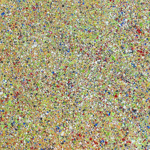 Amelia Augustyn - Chloris I