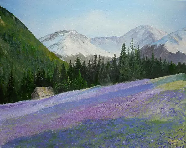 Agata Gumulska - Chochołowska spring