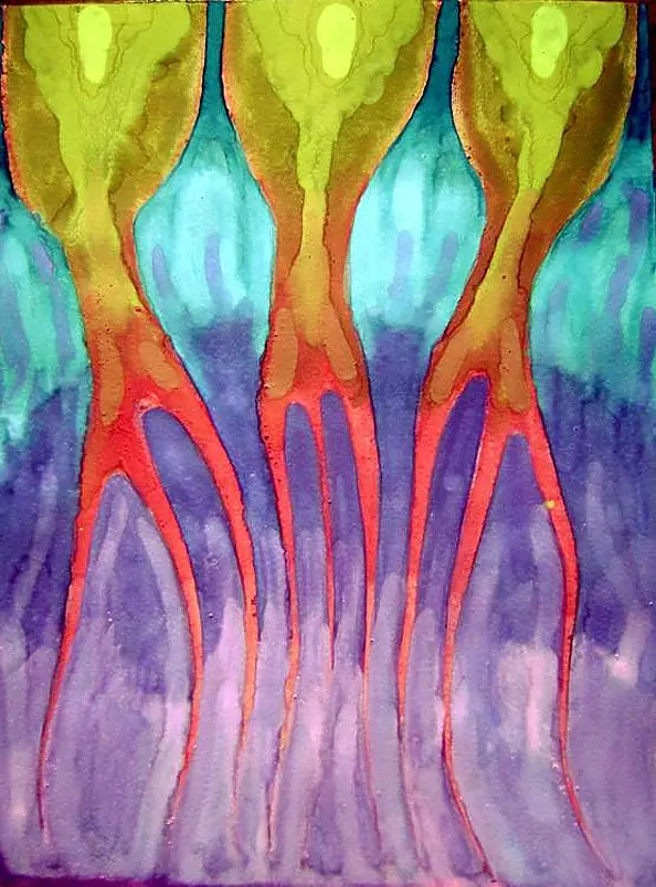 Wojtek Kowalski - Walking After the Violet