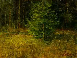 Tadeusz Gazda - Christmas tree