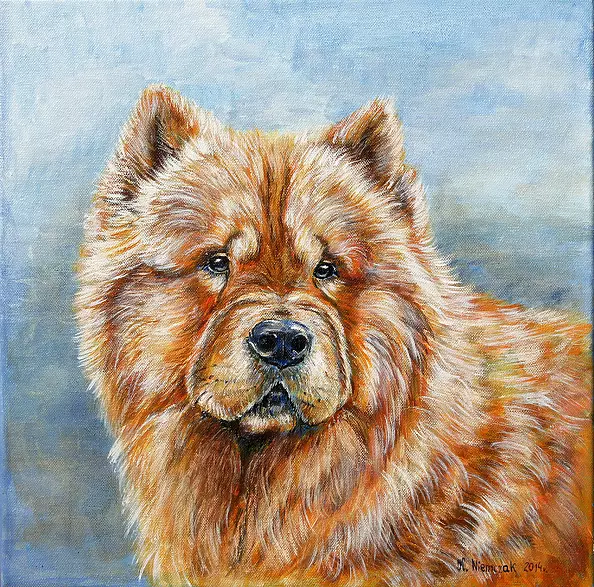 Katarzyna Niemczak - Chow-chow