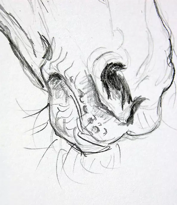 Amelia Augustyn - Chrapy