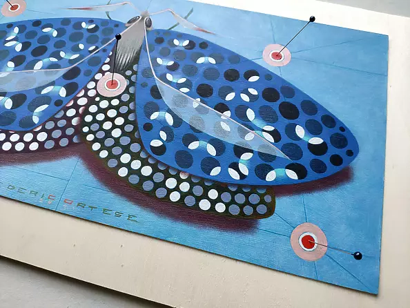 federico cortese - Papillon chromatique - bleu