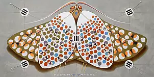 federico cortese - Papillon chromatique - blanc