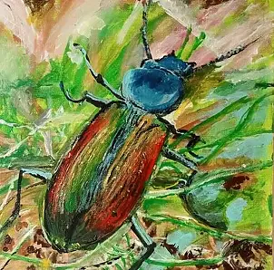 Krystyna Mościszko - Le scarabée résonne dans les roseaux