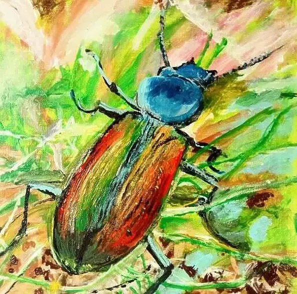 Krystyna Mościszko - Chrząszcz brzmi w trzcinie