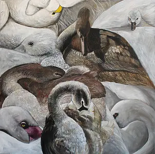 Iza Jaśniewska - A quiet haven