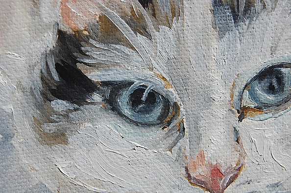 Amelia Augustyn - Ciciek