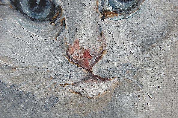 Amelia Augustyn - Ciciek