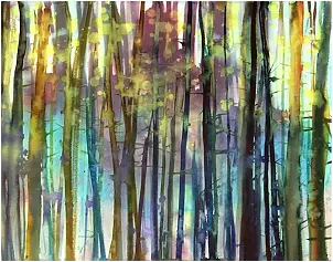 Joanna Magdalena - Curiosity