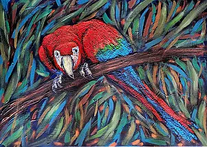 Krystyna PALCZEWSKA - Curious