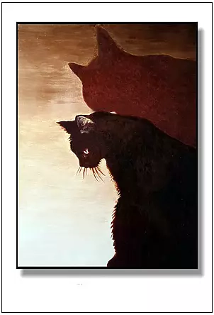 Jolanta Dusza - Cień