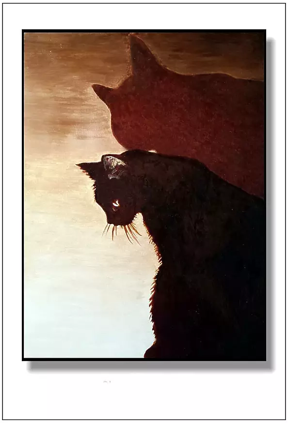 Jolanta Dusza - Cień