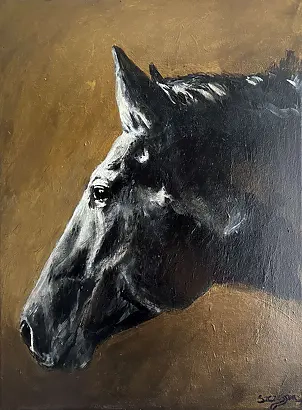 Joanna Szcześniewska - Shade