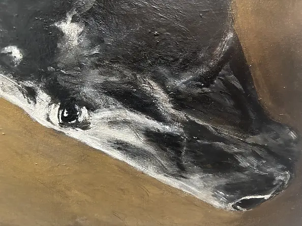 Joanna Szcześniewska - Shade