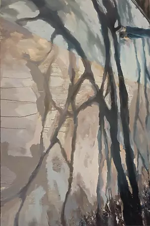 Magdalena Śliwińska - Cienie