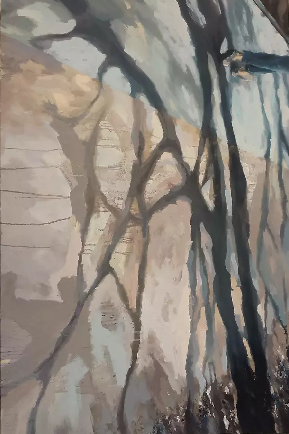 Magdalena Śliwińska - Cienie