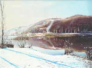   - Shadows poplar lake