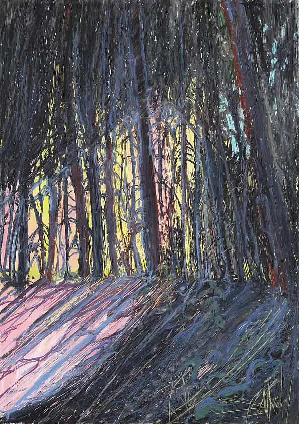 Angelika Mus Nowak - Warm light in the forest