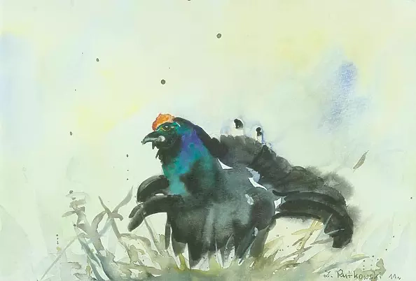 Zdzisław Rutkowski - Cietrzew