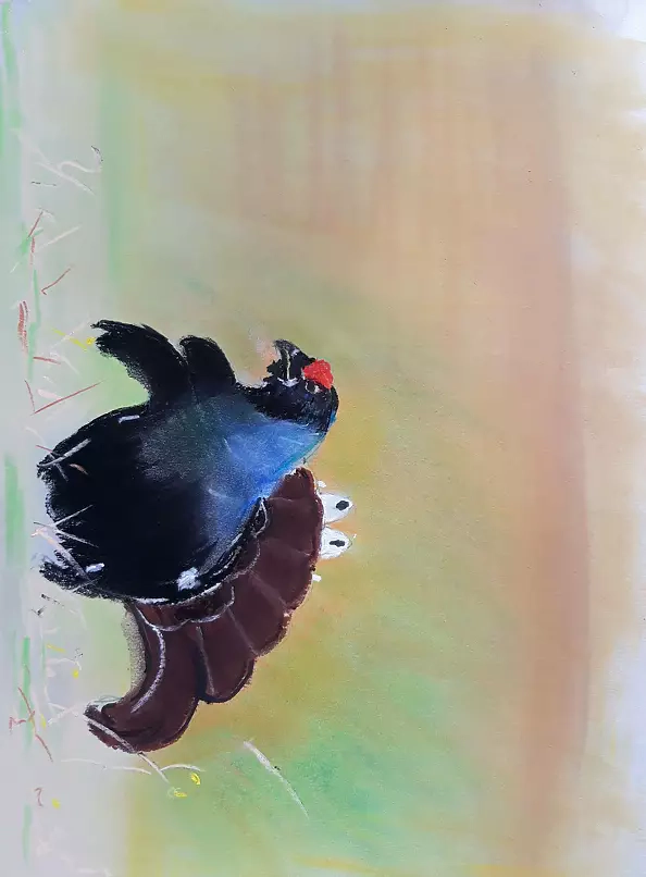 Zdzisław Rutkowski - Cietrzew