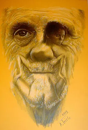 Alma Triste - Silence