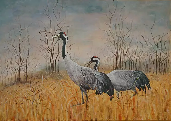 Katarzyna Nguyen - Cisza