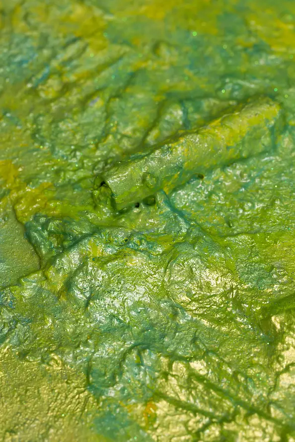 Pamela Rys - Citrus Maxima