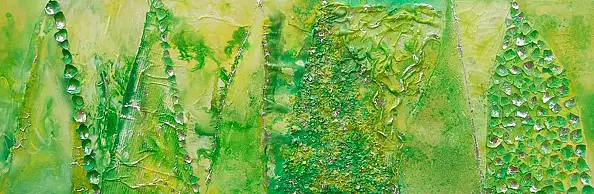 Rachel McCullock - Citrus sensation