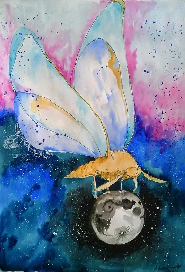 Adriana Laube - Moth