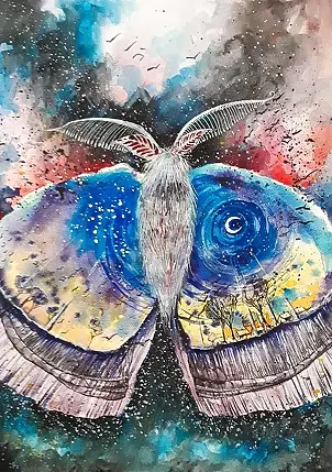 Adriana Laube - "Moth"