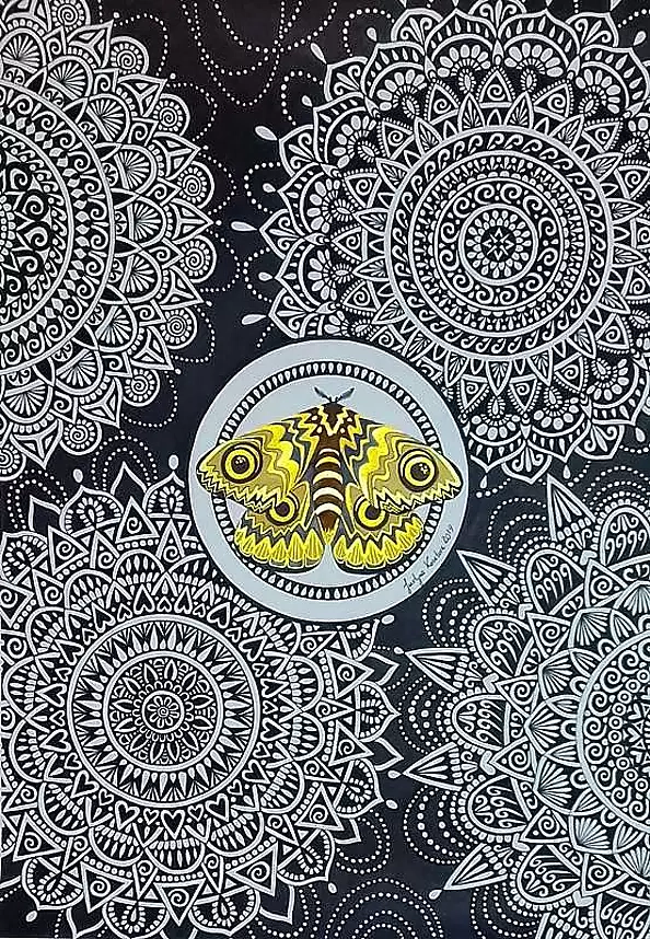 Justyna Kocztorz - Moth