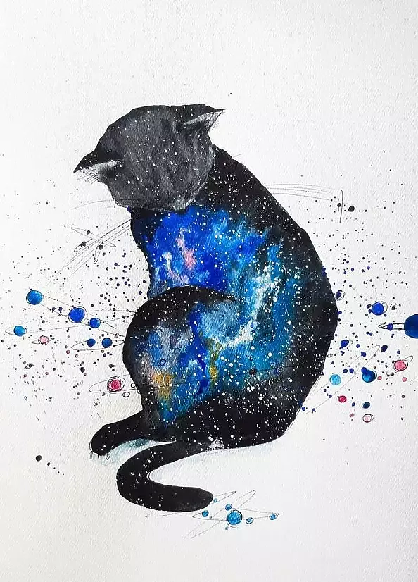Adriana Laube - "What's in the cat?"