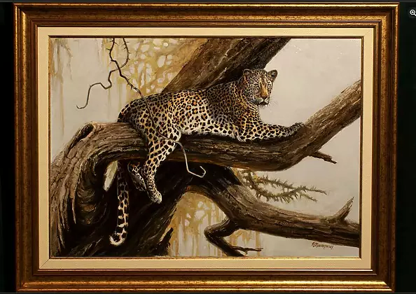 Michał Nowakowski - What the shadows hide