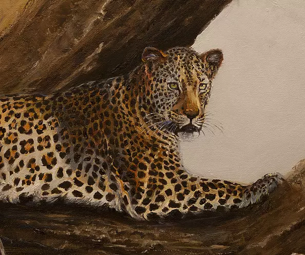 Michał Nowakowski - What the shadows hide