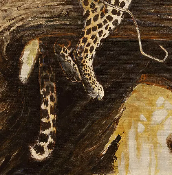 Michał Nowakowski - What the shadows hide