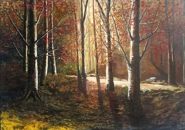 Agnieszka Janik - What's lurking in the forest?