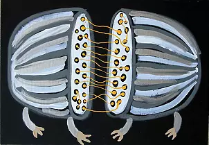 Paweł Zakrzewski - Connection