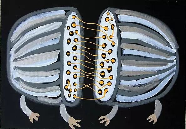 Paweł Zakrzewski - Connection