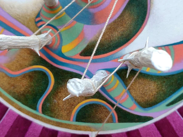 federico cortese - Constellation number 11