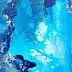 Rachel McCullock - Коралловый риф