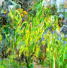 Andrew Zhao - Corn fields-No.1